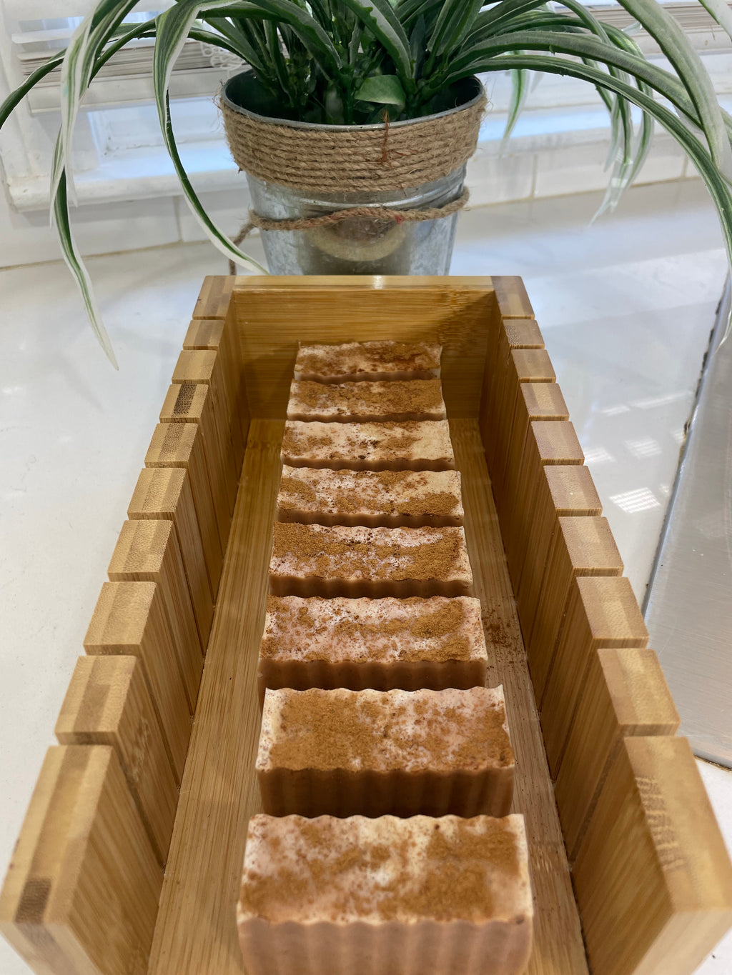 Coconut Goats Milk Soap + Aloe Vera Essential Oil